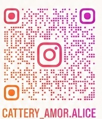 Amor Alice公式Instagramを開くQRコード